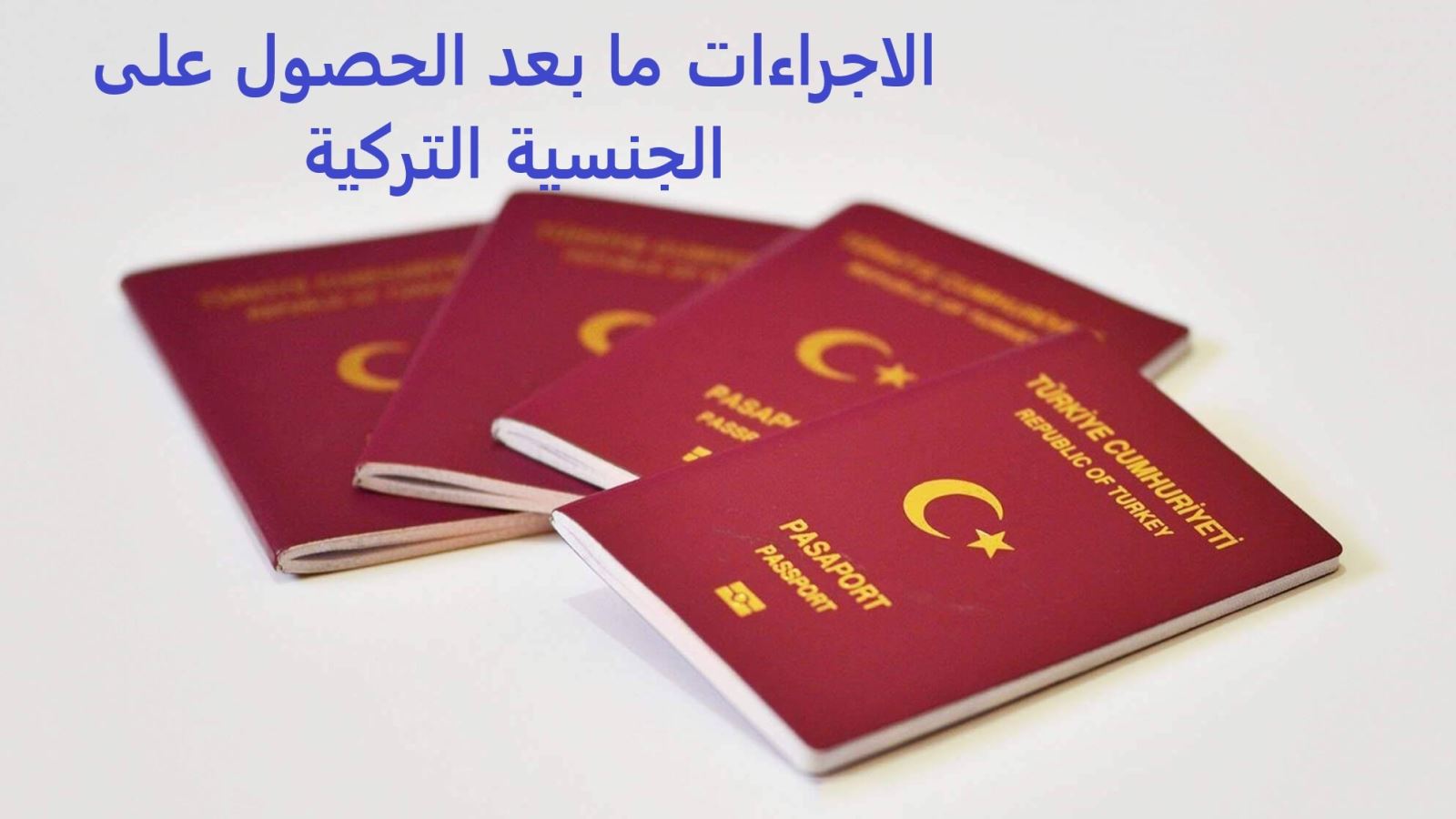 5 خطوات لابد ان تقوم بها بعد الحصول على الجنسية التركية